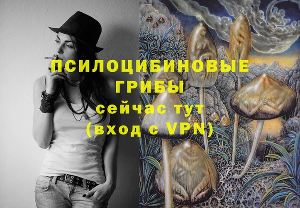 spice Абинск
