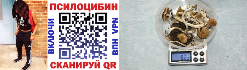 Галлюциногенные грибы GOLDEN TEACHER  мега зеркало  Болотное  закладки 